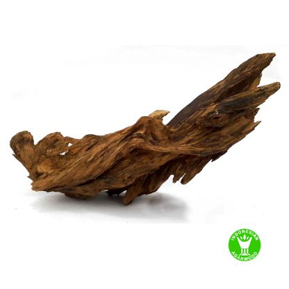Unique agarwood